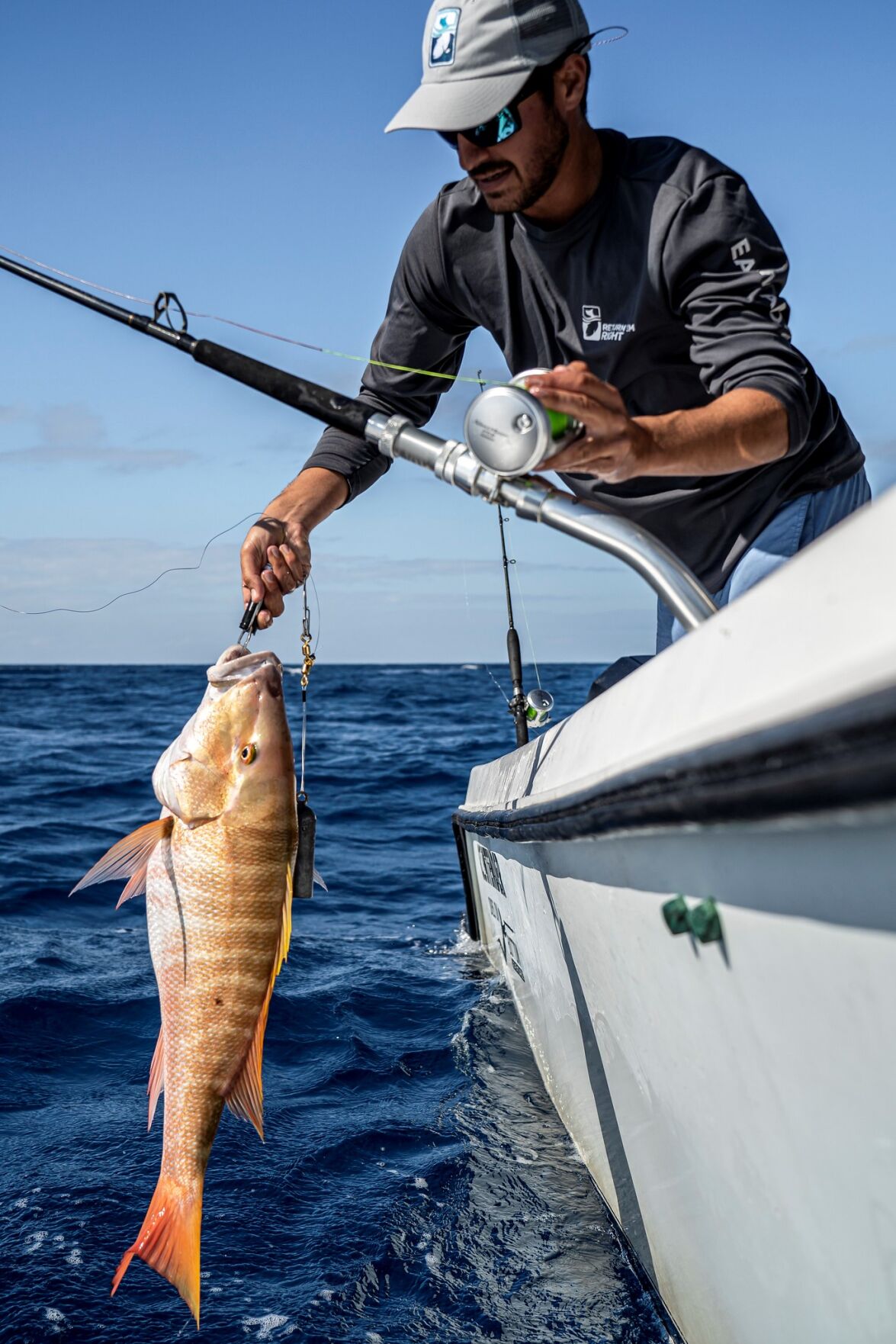 snapper